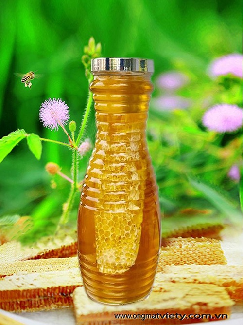 Tổ sáp ong đặc biệt - Công Ty Cổ Phần Ong Mật Việt ý